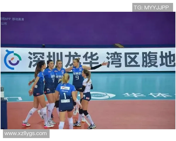 深圳排球队技术争议引发热议球迷与专家观点碰撞激烈